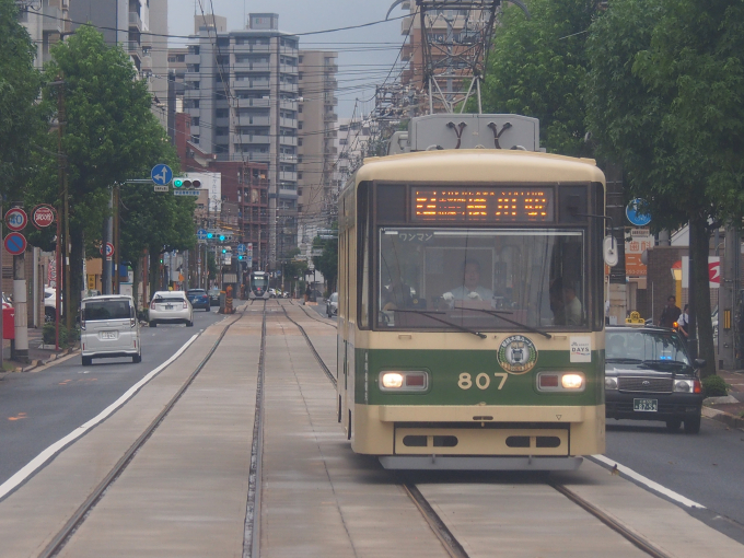 広島電鉄 807 (広電800形) 車両ガイド | レイルラボ(RailLab)