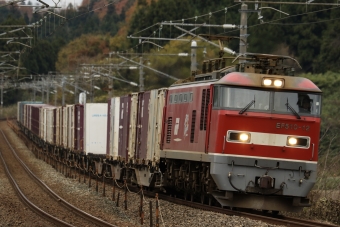 JR貨物 EF510形電気機関車 鉄道フォト・写真 by keisunisofuさん 細呂木駅：2019年12月01日14時ごろ