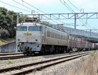 JR貨物 国鉄EF81形電気機関車 EF81303 鉄道フォト・写真 by テツジィさん ：2014年05月08日12時ごろ