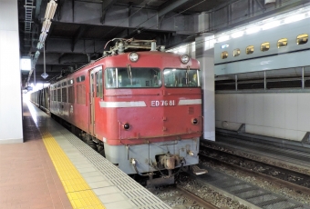 JR貨物 国鉄ED76形電気機関車 ED7681 鉄道フォト・写真 by テツジィさん 博多駅 (JR)：2017年08月17日06時ごろ