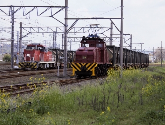 JR貨物 HD300形,13型 HD300-21と13型 鉄道フォト・写真 by テツジィさん 大牟田駅 (JR)：2020年04月02日09時ごろ
