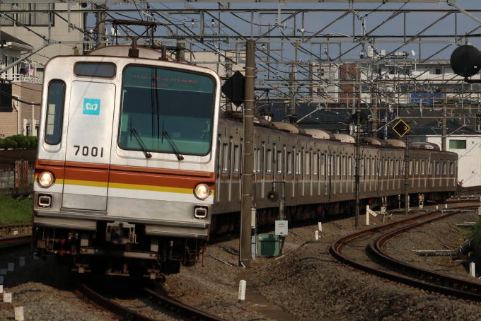 営団7000系 7101F編成 (和光検車区) 鉄道フォト | レイルラボ(RailLab)
