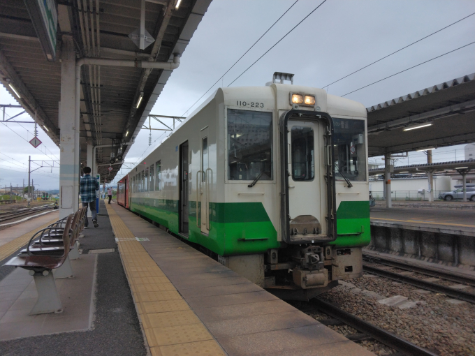 JR東日本 キハ110-223 (キハ100・110系) 車両ガイド | レイルラボ(RailLab)