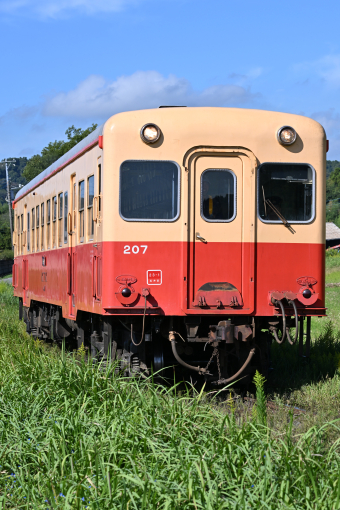 小湊鐵道 キハ207 (小湊鐵道キハ200形) 車両ガイド | レイルラボ(RailLab)