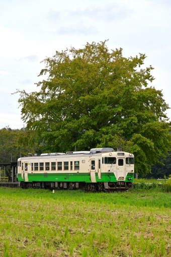 小湊鐵道 キハ40 2 (小湊鐵道キハ40系) 車両ガイド | レイルラボ(RailLab)