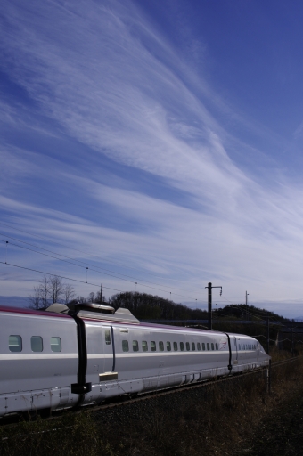 JR東日本 E6系新幹線電車 鉄道フォト・写真 by FRwBさん 小岩井駅：2019年04月21日16時ごろ