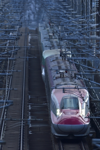 JR東日本 E6系新幹線電車 鉄道フォト・写真 by FRwBさん 新花巻駅：2019年01月06日14時ごろ