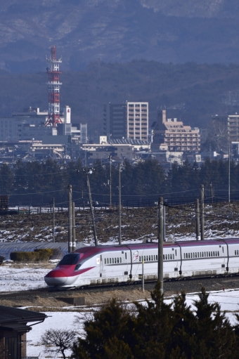 JR東日本 E6系新幹線電車 鉄道フォト・写真 by FRwBさん 大釜駅：2020年01月19日11時ごろ