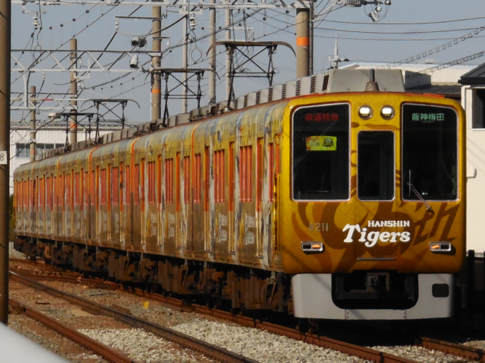 阪神8000系 8211F編成 (尼崎車庫) 鉄道フォト | レイルラボ(RailLab)