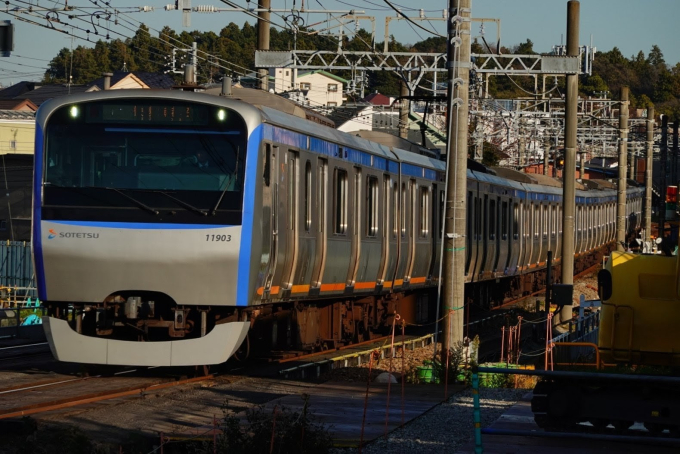 相鉄11000系電車 徹底ガイド | レイルラボ(RailLab)