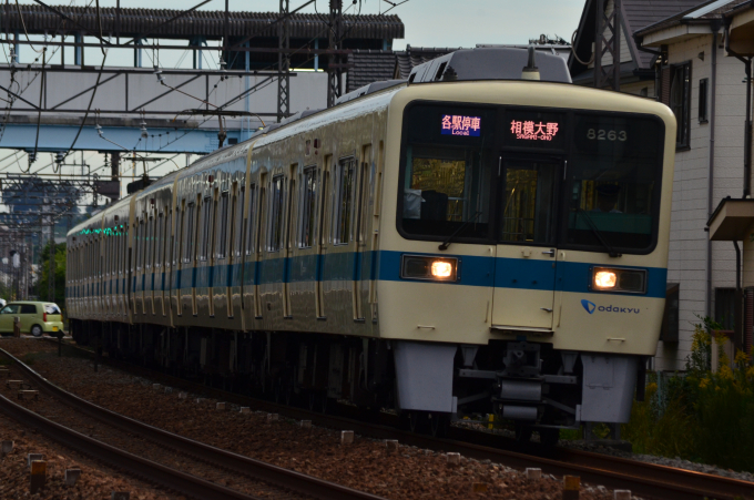 小田急電鉄 8263 (小田急8000形) 車両ガイド | レイルラボ(RailLab)
