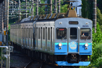伊豆急行 クモハ8255 (伊豆急8000系) 車両ガイド | レイルラボ(RailLab)