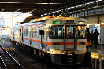 JR東海 クモハ313-3022 (313系) 車両ガイド | レイルラボ(RailLab)