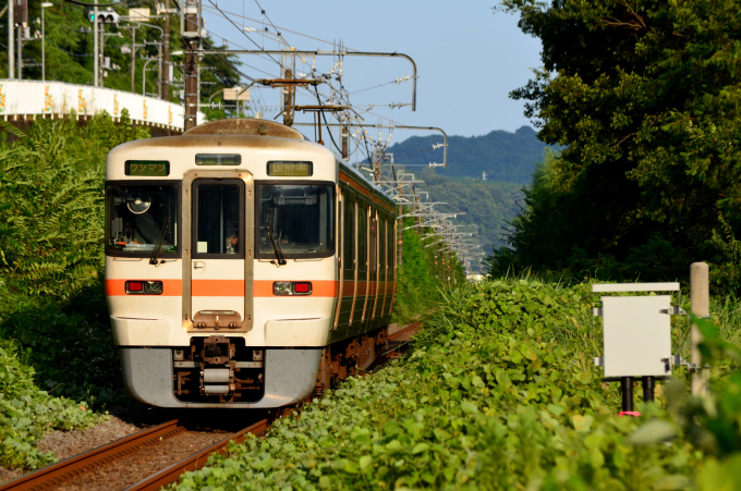 313系 L1編成 (静岡車両区) 徹底ガイド | レイルラボ(RailLab)