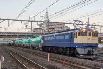 JR貨物 国鉄EF65形電気機関車 2101 鉄道フォト・写真 by marsann_8181さん 与野駅：2021年11月25日16時ごろ