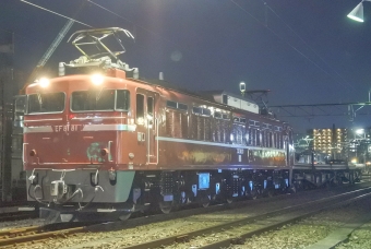 JR東日本 国鉄EF81形電気機関車 81 鉄道フォト・写真 by marsann_8181さん ：2019年01月18日18時ごろ