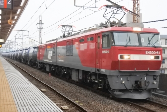 JR貨物EH500形電気機関車 61 鉄道フォト・写真 by marsann_8181さん 西浦和駅：2019年02月09日15時ごろ