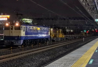 JR東日本 国鉄EF65形電気機関車 EF65 1115 鉄道フォト・写真 by marsann_8181さん 金町駅：2019年03月07日18時ごろ
