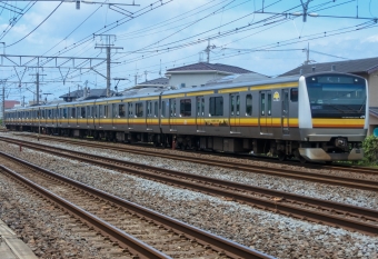 JR東日本E233系電車 鉄道フォト・写真 by marsann_8181さん 辻堂駅：2022年06月24日11時ごろ