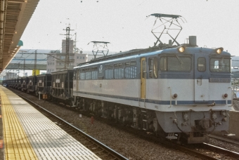 JR貨物 国鉄EF65形電気機関車 2093 鉄道フォト・写真 by marsann_8181さん 西浦和駅：2019年04月25日16時ごろ