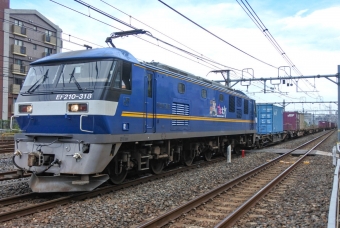 JR貨物EF210形電気機関車 EF210-318 鉄道フォト・写真 by marsann_8181さん 与野駅：2020年09月18日14時ごろ
