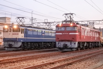 JR貨物 JR東日本 国鉄EF65形電気機関車 EF81形電気機関車 鉄道フォト・写真 by marsann_8181さん ：2018年06月02日19時ごろ