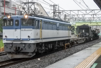 JR貨物 国鉄EF65形電気機関車 2050 鉄道フォト・写真 by marsann_8181さん 北松戸駅：2018年06月10日15時ごろ