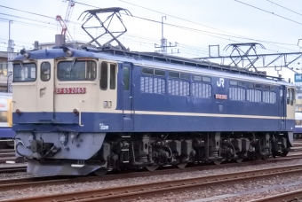 JR貨物 国鉄EF65形電気機関車 2065 鉄道フォト・写真 by marsann_8181さん 新小岩駅：2018年06月17日18時ごろ