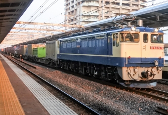 JR貨物 国鉄EF65形電気機関車 2074 鉄道フォト・写真 by marsann_8181さん 市川駅：2018年06月22日18時ごろ