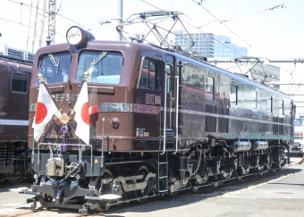 JR東日本 国鉄EF58形電気機関車 61 鉄道フォト・写真 by marsann_8181さん 大井町駅 (JR)：2018年08月25日12時ごろ