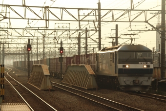 JR貨物 EF210形 EF210-142 鉄道フォト・写真 by おくもつさん 新座駅：2016年10月08日16時ごろ
