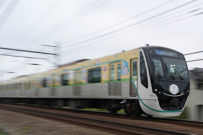 東急たまでん
「片運転台型」
二輌セット 東急電鉄 2037 (東急2020系) 車両ガイド | レイルラボ(RailLab)