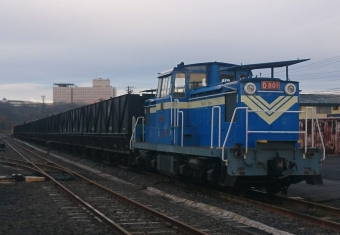 太平洋石炭販売輸送D800形ディーゼル機関車 D801 鉄道フォト・写真 by はしやん@愛知さん 春採駅(貨物)：2018年11月12日06時ごろ