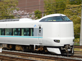 田中系 ダックステールランプ（バイク ライト、レンズ）｜バイク | 車、バイク