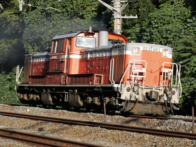 鉄道 復路はこちらへ。 8140レ 快速DLぐんま2fin 高崎行き DD51 895+