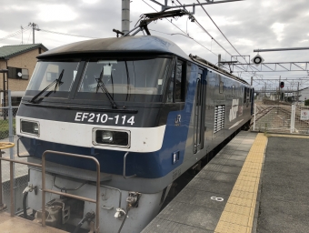 JR貨物 EF210形 EF210-114 鉄道フォト・写真 by やまりゅうさん 舞阪駅：2018年05月13日06時ごろ
