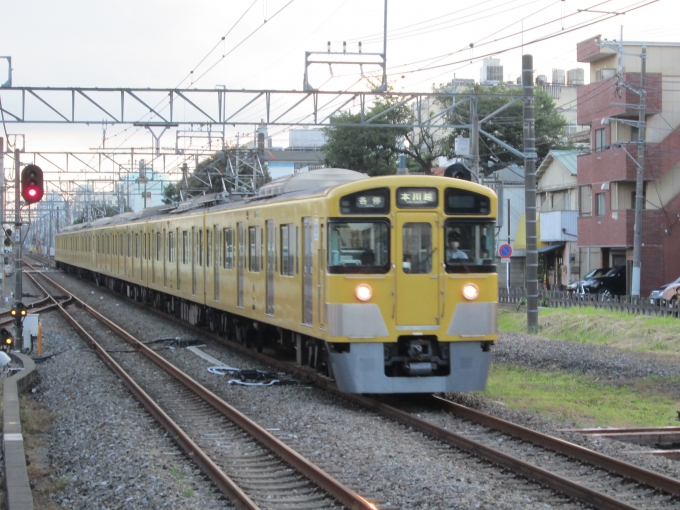 鉄道フォト・写真：西武鉄道 西武2000系電車 南大塚駅 鉄道フォト・写真 by レフカーボさん - 撮影日 2021/08/23 17:05