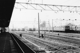 国鉄80系電車 鉄道フォト・写真 by レフカーボさん ：1980年03月20日10時ごろ