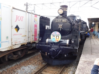 JR東日本 国鉄C57形蒸気機関車 SL村上ひな街道号 C57135 鉄道フォト・写真 by レフカーボさん ：2018年03月24日09時ごろ