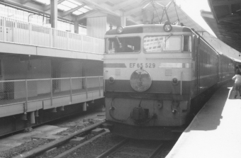 国鉄EF65形電気機関車 みずほ(特急) EF65 529 鉄道フォト・写真 by レフカーボさん 東京駅 (JR)：1976年11月03日11時ごろ