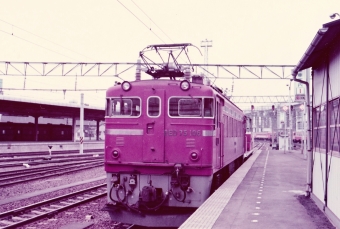 国鉄ED75形電気機関車 ED75 106 鉄道フォト・写真 by レフカーボさん 仙台駅 (JR)：1978年04月29日14時ごろ