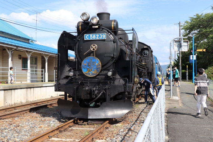 JR東日本 国鉄C58形蒸気機関車 SL銀河 C58 239 土沢駅 鉄道フォト