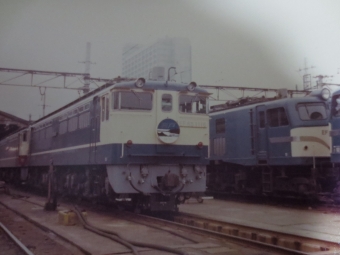 国鉄EF65形電気機関車 鉄道フォト・写真 by レフカーボさん ：2019年11月03日15時ごろ