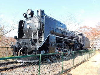 国鉄D51形蒸気機関車 D5159 鉄道フォト・写真 by レフカーボさん ：2019年11月09日13時ごろ