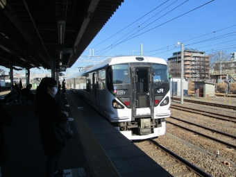 JR東日本E257系電車 鉄道フォト・写真 by レフカーボさん 拝島駅 (JR)：2016年01月09日10時ごろ