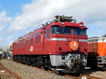 JR東日本 国鉄EF81形電気機関車 EF81139 鉄道フォト・写真 by レフカーボさん ：2017年11月11日11時ごろ
