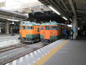 JR東日本 115系 鉄道フォト・写真 by レフカーボさん 高崎駅 (JR)：2016年02月06日08時ごろ