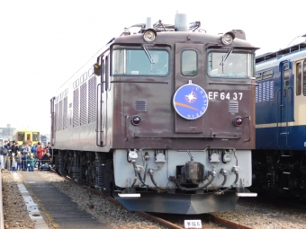 JR東日本 国鉄EF64形電気機関車 EF6437 鉄道フォト・写真 by レフカーボさん ：2017年11月11日12時ごろ