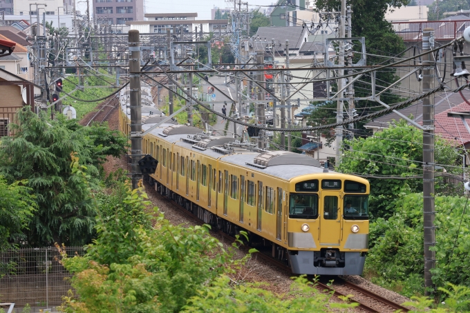 鉄道フォト・写真：西武鉄道 西武2000系電車 東伏見駅 鉄道フォト・写真 by レフカーボさん - 撮影日 2024/07/06 11:08