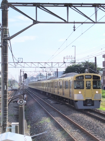 西武鉄道 西武2000系電車 鉄道フォト・写真 by レフカーボさん 南大塚駅：2024年07月08日16時ごろ